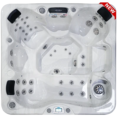 Avalon-X EC-849LX hot tubs for sale in Ontario